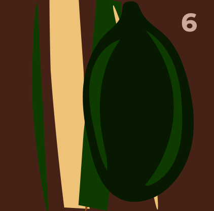 Cube Courge, chocolat artisanal KKO3