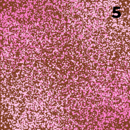 Cube Framboise, chocolat artisanal KKO3